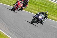 anglesey;brands-hatch;cadwell-park;croft;donington-park;enduro-digital-images;event-digital-images;eventdigitalimages;mallory;no-limits;oulton-park;peter-wileman-photography;racing-digital-images;silverstone;snetterton;trackday-digital-images;trackday-photos;vmcc-banbury-run;welsh-2-day-enduro